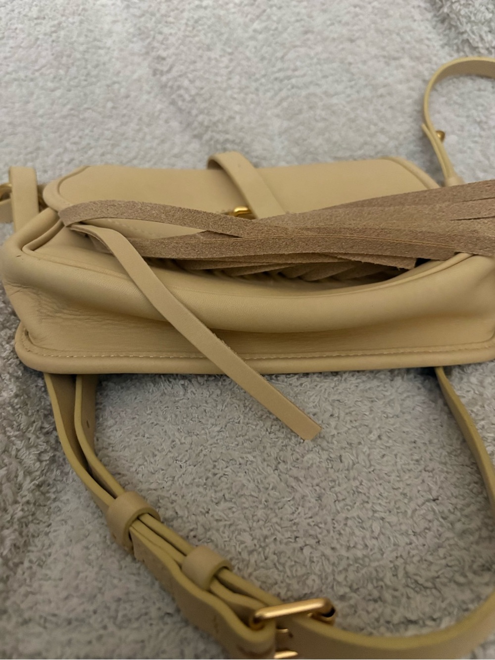 Dooney & Bourke Lulu Fiona Fringe Crossbody Bag in Cream NWT - Picture 15 of 16